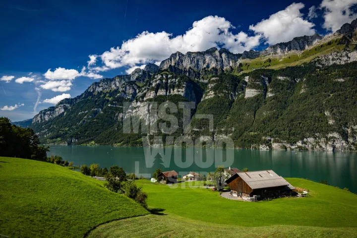Krajinářská fotografie – MistWood Studio