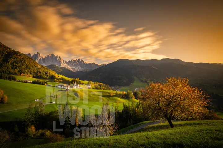 Krajinářská fotografie – MistWood Studio